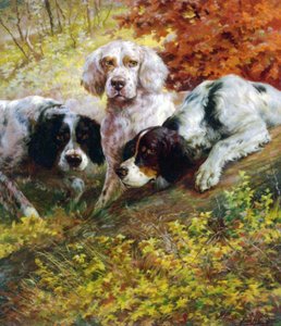 Setters de Edmund Henry Osthaus