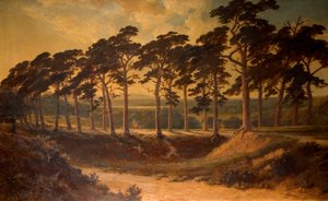 Grade do primeiro, Hampstead Heath, 1875