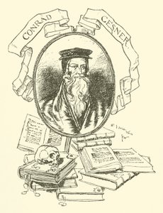Conrad Gesner de Edmund Joseph after Sullivan