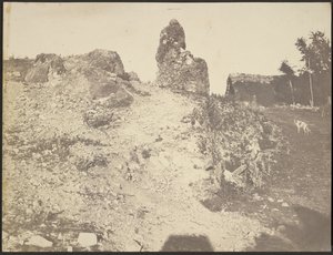 [Paisagem rochosa] de Édouard Baldus