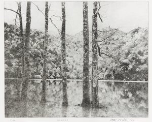 Sai-no-Ko, 1992