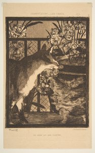 Gato e flores. Ilustração aos gatos por Champfleury, 1869. de Édouard Manet