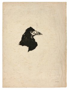 Cabeça de um corvo em perfil, de The Raven (Le Corbeau) de Édouard Manet