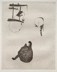 Os gatos de Édouard Manet