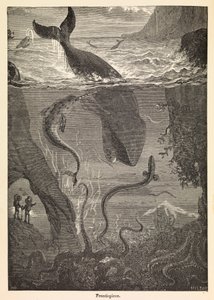 Frontispício de "Vinte mil léguas submarinas" de Júlio Verne, c.1870 (gravura) de Edouard & Neuville Alphonse-Marie-Adolphe de (1835-85) Riou