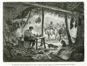 Um laboratório de taxidermia na floresta virgem, na região de Llanos (Colômbia), desenho de Riou, para ilustrar a história da América Equinoxiale (Colômbia, Equador, Peru), em 1875-1876, de Ed. andre, encarregado de missão de viajantes pelo governo francês de Edouard Riou