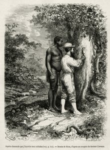 Apatou, guia e companheiro de viagem pede ao autor explorador que grave as suas iniciais na casca de uma árvore. Gravura de Riou, para ilustrar a história de Cayenne aux Andes, de Jules Crevaux, médico da marinha francesa, em 1878-1879, publicada no Tour d de Edouard Riou