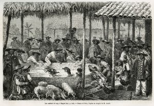 Luta de galos e animação de rua em Ibague (Colômbia), desenho de Riou, para ilustrar a história da América Equinoxiale (Colômbia, Equador, Peru), em 1875-1876, de Ed. andre, encarregado de missão de viajantes pelo governo francês. Gravura em Le tour du mon de Edouard Riou
