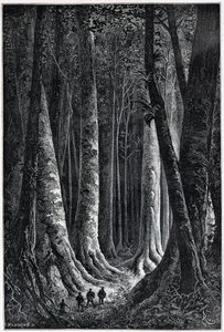 Floresta da Guiana Francesa, desenho de Riou, "Le Tour du Monde", 2º semestre. 1879.