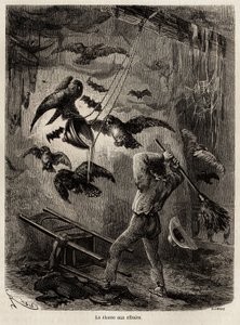Caça às corujas refugiadas na igreja de Sarayacu (Peru), desenho de Riou, para ilustrar a viagem de Paul Marcoy do Oceano Pacífico ao Oceano Atlântico de 1848 a 1860. Gravura em "Le tour du monde", editado por Edouard Charton
