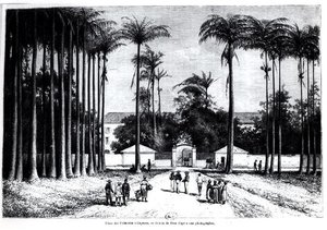Place des Palmistes, Caiena, Guiana de Edouard Riou