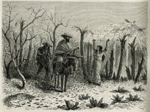 The Clouds of Grasshoppers of the Vallee du Upper Patia, com na mula o narrador da viagem, gravado por Riou, para ilustrar a história L