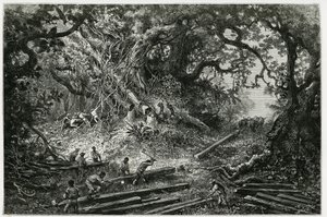 A exploração do mogno nas florestas da Cordilheira dos Andes. Gravura de Riou, para ilustrar a história "Viagem a Yucatan e à Terra de Lacandons", em 1882, de Desire Charnay (1828-1915) arqueólogo e fotógrafo. Publicado no Tour du monde nou de Edouard Riou