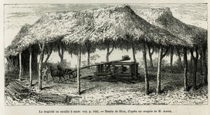O trapiche, ou moinho de açúcar para moer as canas em Panche (Colômbia), desenho de Riou, para ilustrar a história da América Equinoxiale (Colômbia, Equador, Peru), em 1875-1876, de Ed. andre, encarregado de missão de viajantes pelo governo francês. Gravur de Edouard Riou