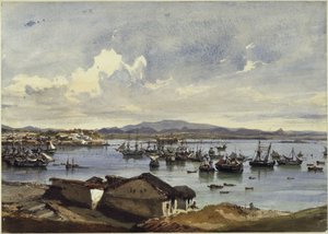 Panorama do Rio de Janeiro de Eduard Hildebrandt