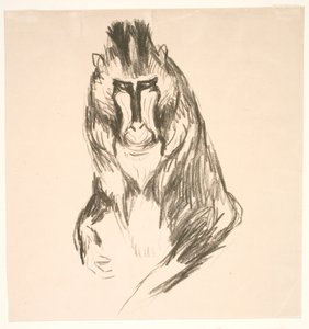 Gorila (continente) de Edvard Munch