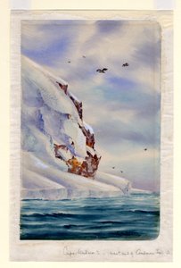 Cabo Wadsworth, Ilha Coulman (wc no papel) de Edward Adrian Wilson