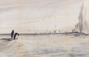 Rookery do pinguim-imperador, Cape Crozier
