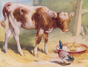 Bezerro e patos (lito a cores)
