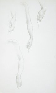 Estudos de braços e mãos (anverso); Estudo de um torso feminino (verso) de Edward Burne-Jones