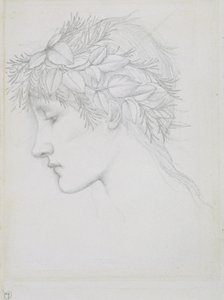 Cabeça coroada de folhas, c.1897 (lápis sobre papel) de Edward Coley Burne Jones