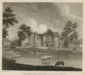 Vista, de, a, praga, casas, em, tothill, campos, londres de Edward Dayes