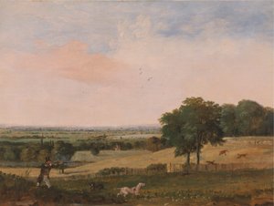 Tiro à perdiz de Edward Duncan
