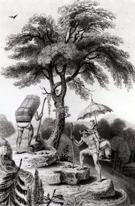 Vista da passagem de Quindio, ilustração de &39;Viaja pelas províncias interiores da Colômbia&39; por John P. Hamilton, publicado em 1827