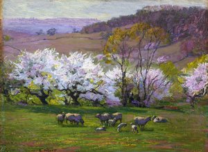Tempo de Flor,