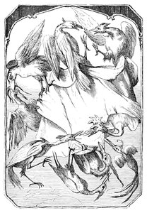 Os repolhos de burro, 1901
