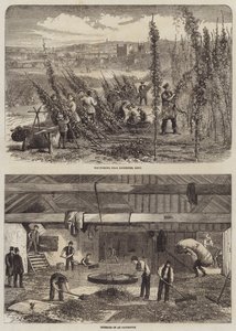 Colheita de lúpulo em Kent de Edward Hull