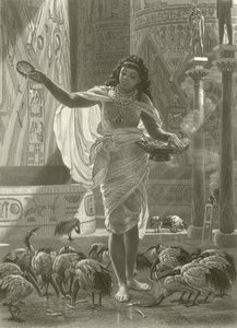 Alimentando os íbis sagrados nos corredores de Karnac de Edward John Poynter