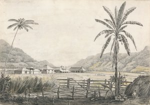 Uma Vista de Hall-head Sugar Plantation, Jamaica de Edward Kennion