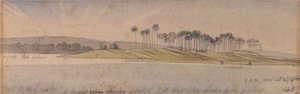 Ilha de Dhoura de Edward Lear