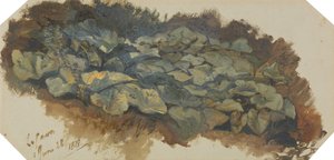 La Cava de Edward Lear