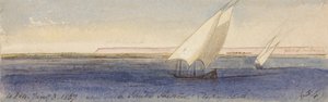 Perto de Nesle Sheikh Hassan, olhando para sul de Edward Lear