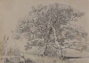 North Stoke. 21 de Outubro de 1834. de Edward Lear