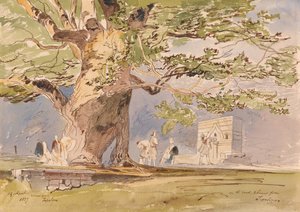 Na estrada, a duas horas de Tepelene, 19 de abril de 1857 de Edward Lear