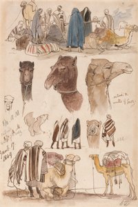 Fora das muralhas do Suez, 8h30, 17 de janeiro de 1849 (54) de Edward Lear