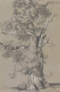 Parham, Outubro.13.1834 de Edward Lear