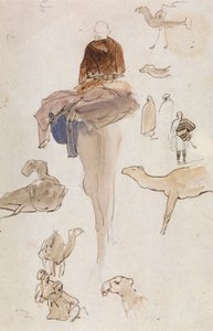 Estudos sobre os camelos de Edward Lear