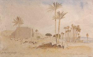 Tapha, 7:50 a.m., 17 de fevereiro de 1867 de Edward Lear