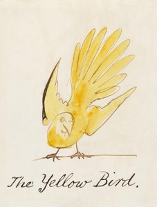 O Pássaro Amarelo, de "Dezesseis Desenhos de Pássaros Comic" de Edward Lear