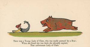 Havia uma jovem dama de Clare, que foi loucamente perseguida por um urso de &39;A Book of Nonsense&39;, publicado por Frederick Warne and Co., Londres, c.1875 de Edward Lear