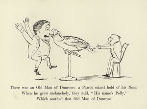 Havia um velho homem de Dunrose; um papagaio agarrou seu nariz de Edward Lear