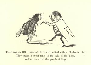 Havia uma pessoa idosa de Skye, que valsou com uma mosca Bluebottle de Edward Lear