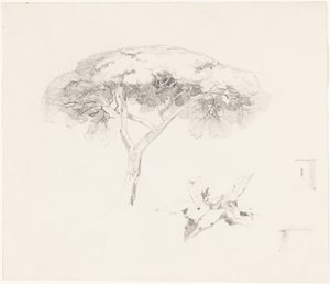  de Edward Lear