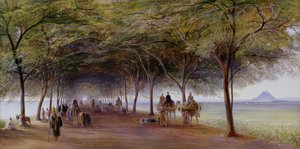 Vista, de, a, pirâmides, estrada, giza