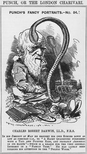 Charles Darwin, retratos chiques de Punch, No 54, ilustração de 