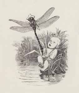 Ilustração para The Water-Babies de Charles Kingsley (gravura) de Edward Linley (after) Sambourne